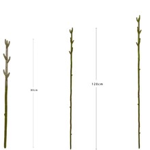 ����ֲ�� ����������U ��������� �b�