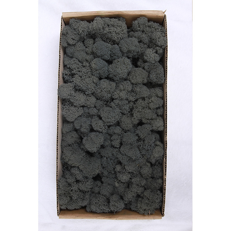 Musgo eterno ciervo musgo planta pared paisaje musgo ventana interior decoración micro paisaje eterna flor musgo