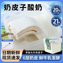 ��Ƥ�����̴�Ͱ�b1kgԭζ��Ƥ�Ӱl�����̠I�B�����������ͥ�b