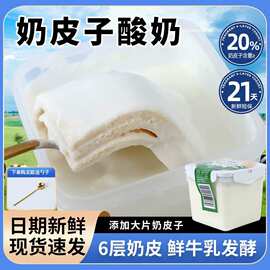 奶皮子酸奶大桶装1kg原味奶皮子发酵酸奶营养早餐奶下午茶家庭装