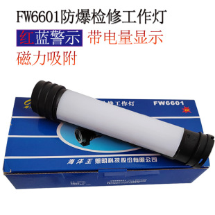 ������FW6601�����z�޹������๦�ܿɳ�늱�y�������Ͳ������ˮ
