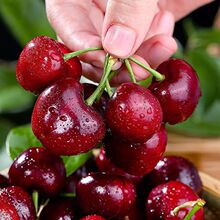 ��S���]�Fժ�������Ҵ��B���a܇�������rˮ�����]5��һ�����l