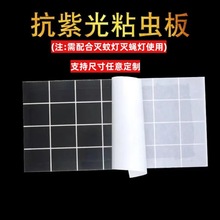 ßճճωճʽωúɫճxҎO E M  