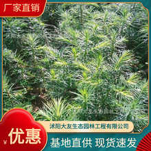 l ԮaNɼ ^쾰·@ֹ̾G