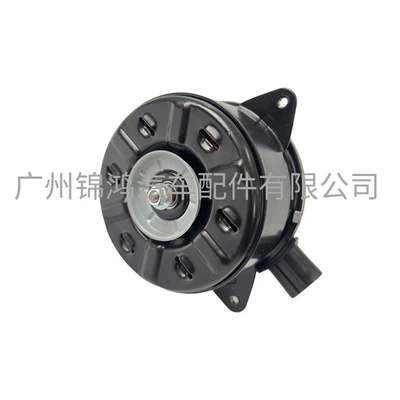 Motor 12V, Fan