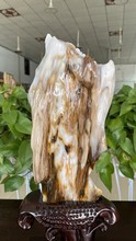 木化玉树化石奇石冰种树化玉原石桌面装饰木化石石大摆件