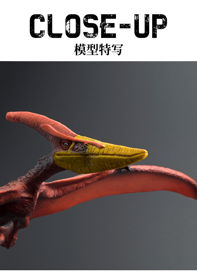 详情图