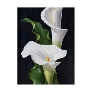 Lily calla lily flower black background Diamond painting point diamond stickers cross stitch wholesale full diamond embroidery