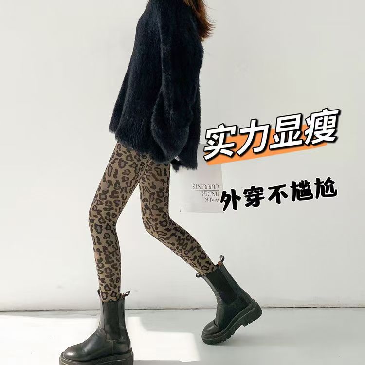 갈색 표범 무늬 발