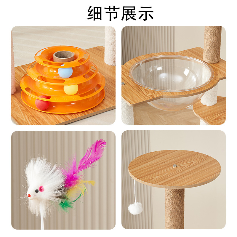 猫の棚には猫がいます。|undefined