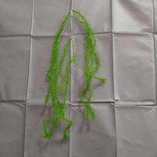 GɫJ횲ɭϵ滨ĻYõbٻ廨