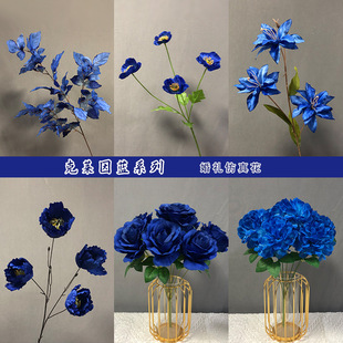 ���R���{����c��Y�����{ɫ�ٻ�����{ɫֱ���g�b廨õ��