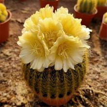 ���_������������z�����ֲ��p�������Ժ������������������l