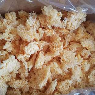 �������y����500g �y���黨 ��؛ �o�� ��ľ�����l ������ӹ�