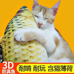 Catnip Fish Funny Cat Toy Funny Stick Teething Kit Kitten Self-Happiness Relief Doll Ragdoll Kitten Pet Supplies