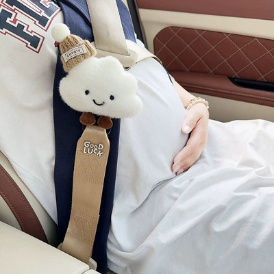 Other Automotive Interior Supplies: Kids Safety Belt