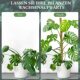 New Coconut Shell Rod Garden Plant Mossy Rod Indoor Plant Support Bendable Coconut Palm Stick Plant Support Column