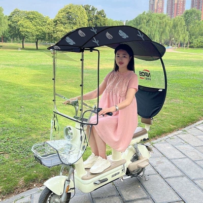 Elektromobil üçün ön şüşə çətiri (günlük) – rain canopy, small electric bike - colorful-leaves-hard-board-without-side-guard-large-window-the-car-has-rearview-mirrors-take-a-photo-of-this-model