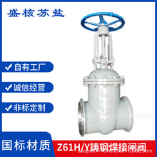 Z61H/Y-16C25PT䓲PքUlyly