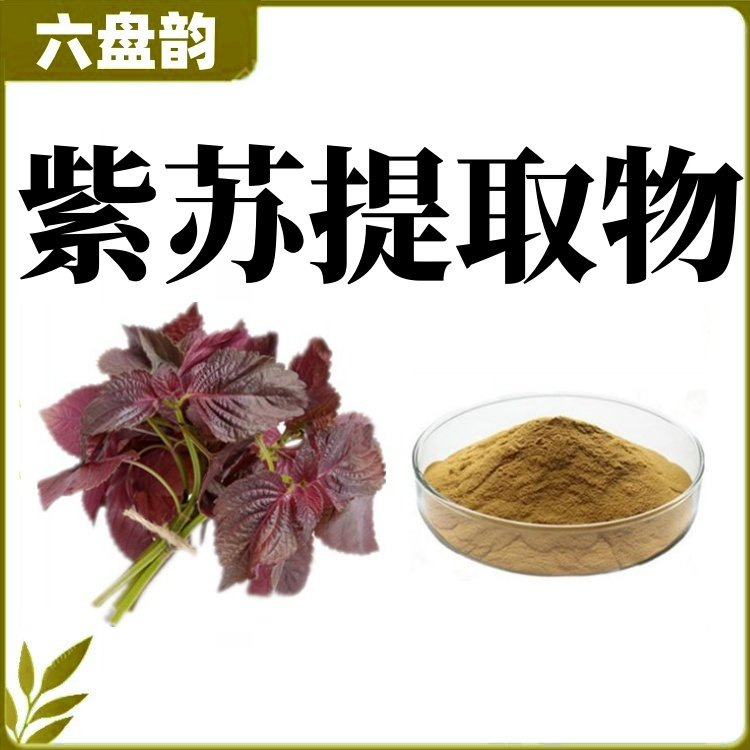 紫苏提取物 可水溶 紫苏粉  10:1 现货库存 2kg起含税运