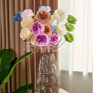 ���滨3�^�W˹͡õ�廨�껨�Ҿ�ܛ�b�ٻ���Y��c�b��¼��b�