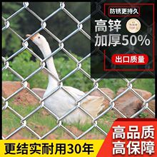 镀锌铁丝网防护养殖网家用勾花网养狗钢丝网护栏网围栏拼接养鸡网
