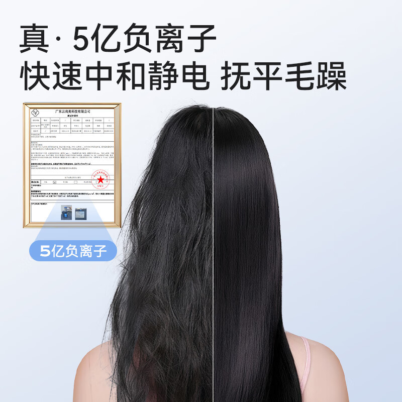 フランスシュナイダー高速ヘアドライヤー家庭用静音マイナスイオンパワー発温調ヘアドライヤー|undefined