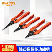 �n�����I�FƤ���������P�䓰�䓽z���Ǽ����F�z�W���ð��FƤ�ü�