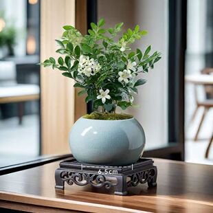 _ˮ߀㡿ˮǧ LС辰҃ȿ͏dļGֲ