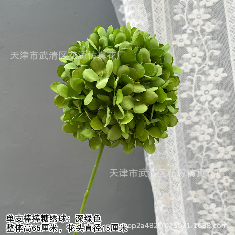 단일 롤리팝 수국 - 진한 녹색