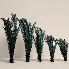 干花;永生花;仿真花
