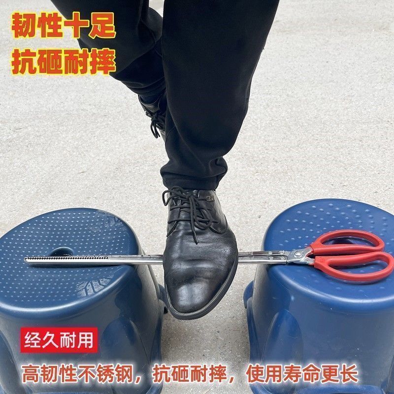 7e415e03-0c5d-420a-a06a-c395192afc36.jpe