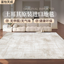 土耳其进口客厅地毯轻奢高级耐脏威尔顿机织无胶抗菌丙纶加厚地垫