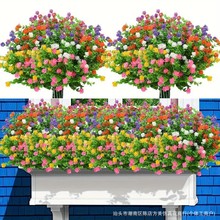 �羳�ȼ�������õ�廨7�^�Ҿ��b����Ԕ[������ٻ��[��Ĕz����