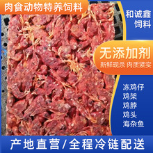 新鲜冷冻小鸡仔箱装娃娃鱼鳄鱼蛇狐狸饲料肉食特养动物饲料