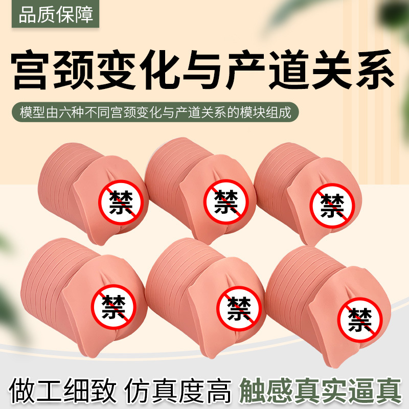 ǰ仯ϵģ͸ƽѧڱ仯ģ