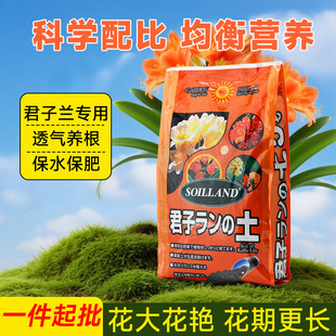Special nutrient soil for junzilan, household gardening pot, flower plant Formula soil, flower planting, flower granular flower soil
