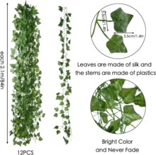 滨ٗlbG}ɽ~~72~ع~ٗl