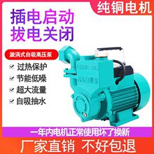 ����ȫ�Ԅ�������������ˮ���ó�ˮ���ԁ�ˮ�ܵ��Ӊ���220v�ߓP��