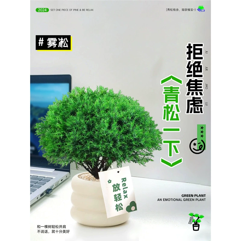 Туманно-зеленые растения для расслабляющей офисной рабочей станции, комнатное растение в горшке с ленивой туманной сосной для снятия стресса.