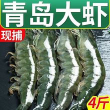 大渤海大虾鲜活新鲜冷冻批发特大号一整箱青岛海鲜水产海虾青虾