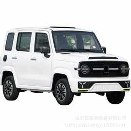 电动四轮车新能源低速代步车老头家用汽车油电两用全封闭4轮锂电