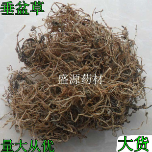 ��ș�� ����� ����ѿ ��ײ� ���Ӳ� ������ ʯָ�� ������ ��؛