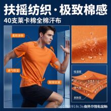 40֧�������R�����l��ëȦ�� 220�ˏ���͸�⿹���R�������ϲ�