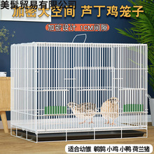 芦丁鸡笼子家用养殖加密养鸡笼鹌鹑笼小兔子笼小猫笼幼鸭笼鸟笼子