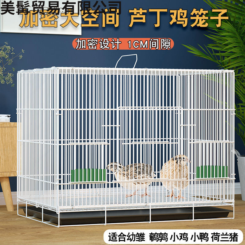 芦丁鸡笼子家用养殖加密养鸡笼鹌鹑笼小兔子笼小猫笼幼鸭笼鸟笼子