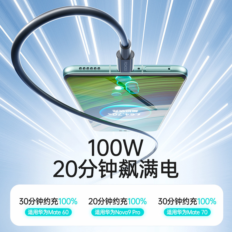 羅馬仕數據線6A手機Type-C口快充線適用於華為安卓通用TPC充電線 3