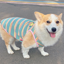 狗狗衣服柴犬泰迪毛背心穿宠物新款四季比熊条纹防掉2025柯基马甲