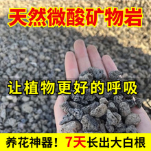 微酸矿物岩颗粒土养花专用小石子兰花铺面黑色火山石底砂酸性盐土