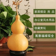 基地供应大亚腰葫芦大中小号葫芦工艺品摆件大亚腰葫芦大量批发